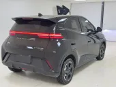 BYD Dolphin Mini - Miniatura 8