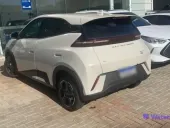 BYD Dolphin Mini - Miniatura 6