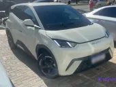 BYD Dolphin Mini - Miniatura 3