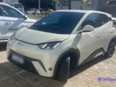BYD Dolphin Mini - Miniatura 1