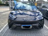 BYD Dolphin Mini - Miniatura 1