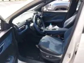 BYD Dolphin Mini - Miniatura 4