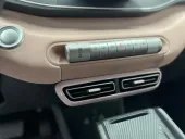 BYD Dolphin Mini - Miniatura 4