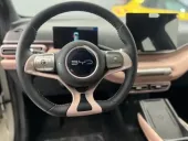 BYD Dolphin Mini - Miniatura 5
