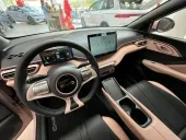 BYD Dolphin Mini - Miniatura 6