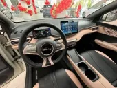 BYD Dolphin Mini - Miniatura 7