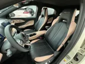 BYD Dolphin Mini - Miniatura 11