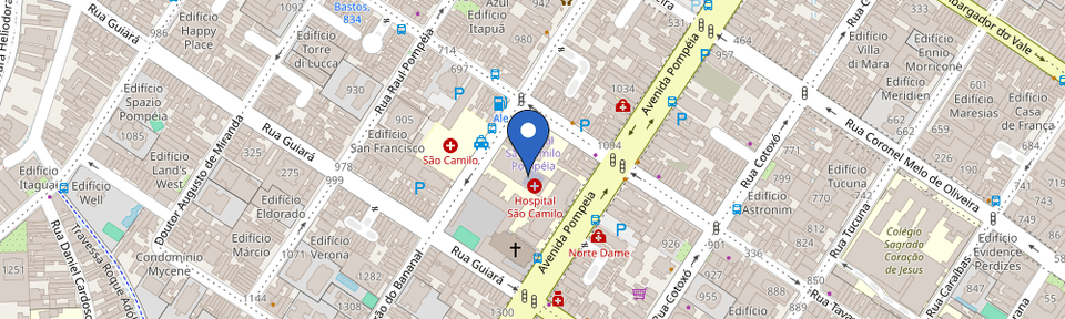 Mapa da estação Hospital São Camilo - Unidade Pompeia