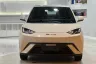 BYD Dolphin Mini