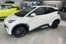 BYD Dolphin Mini