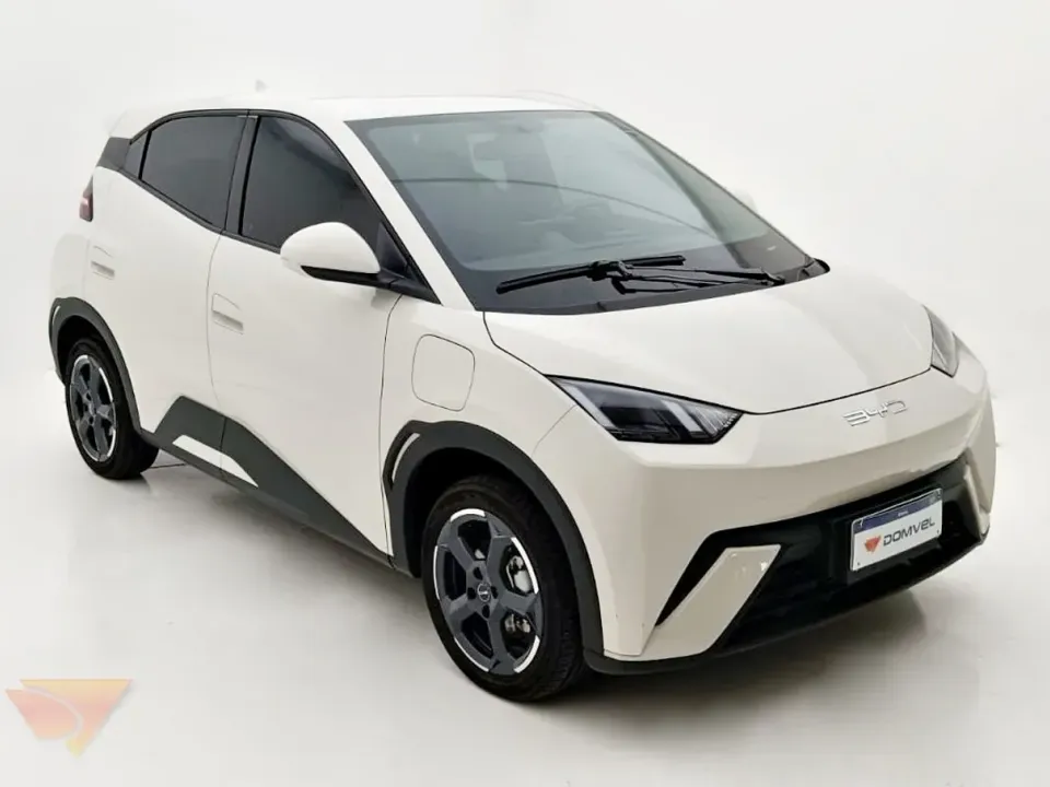 Foto de um byd dolphin plus.