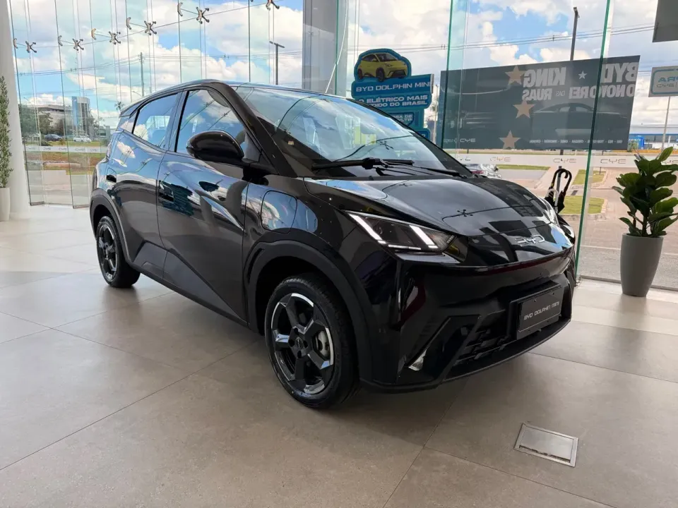 Foto de um byd dolphin plus.