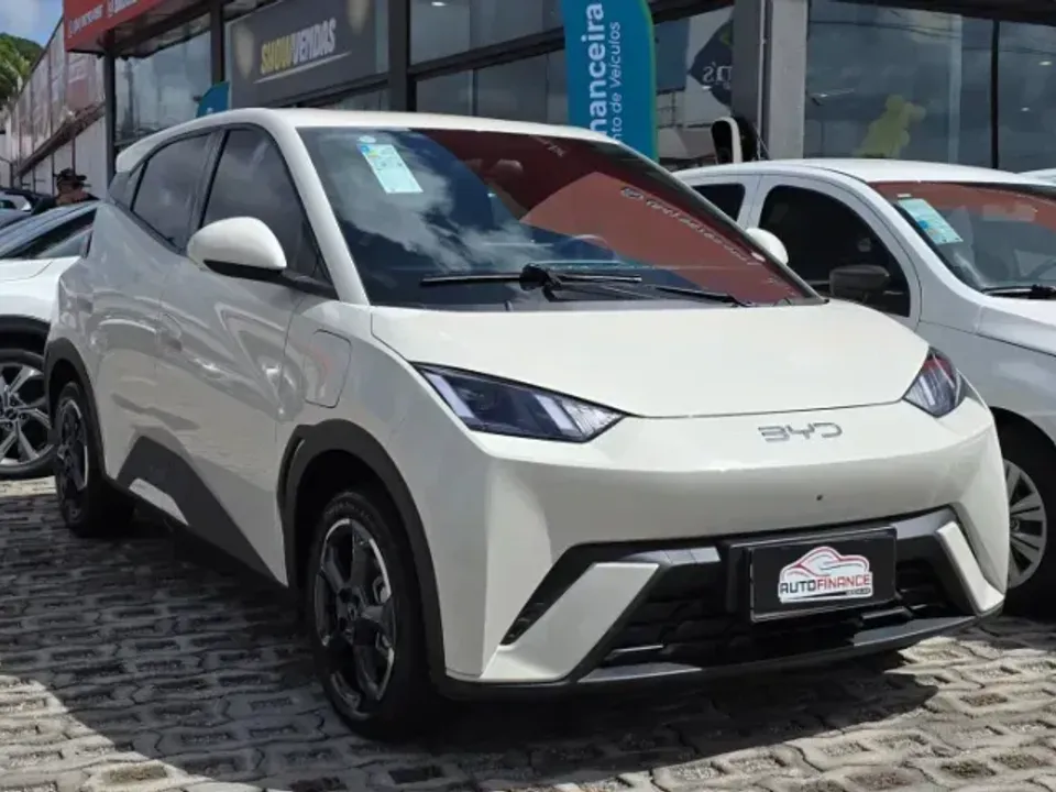 Foto de um byd dolphin plus.