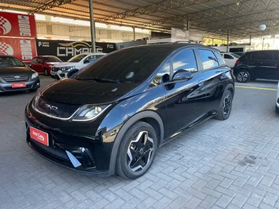 Foto de um byd dolphin