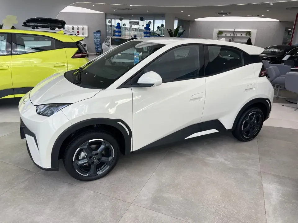 Foto de um byd dolphin mini