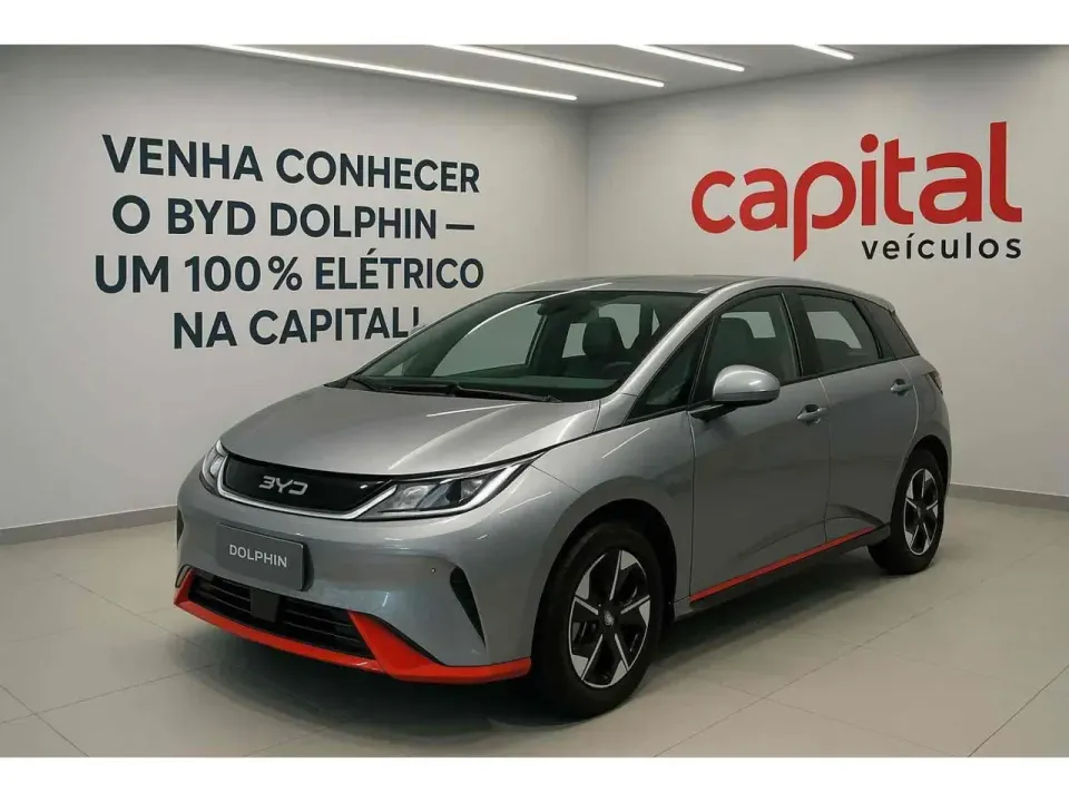Foto de um byd dolphin