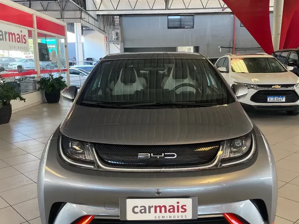 Foto de um byd dolphin
