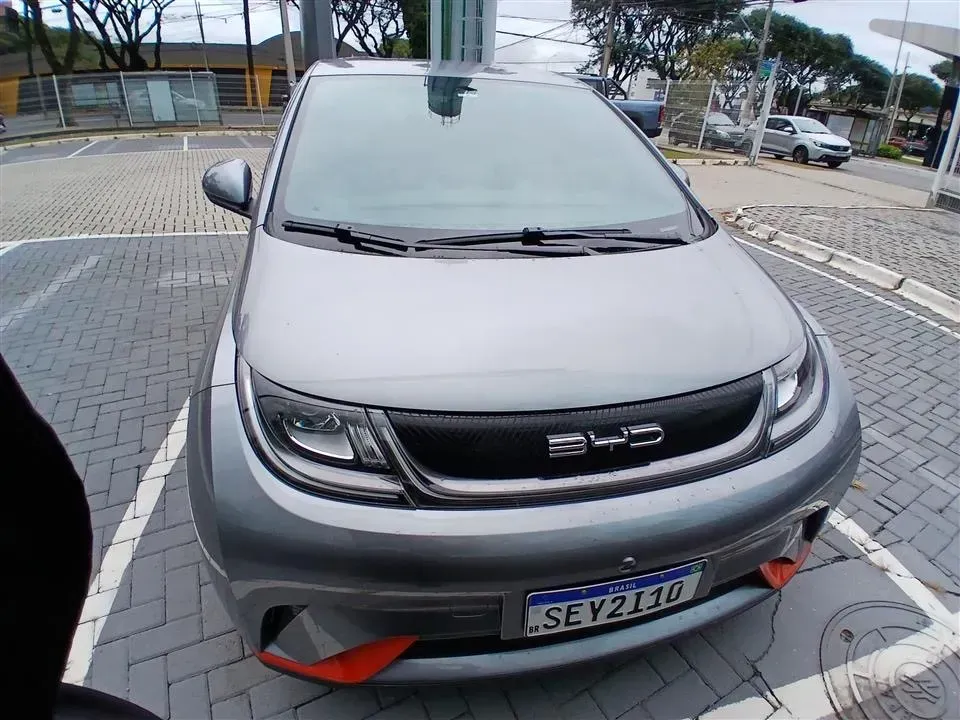 Foto de um byd dolphin