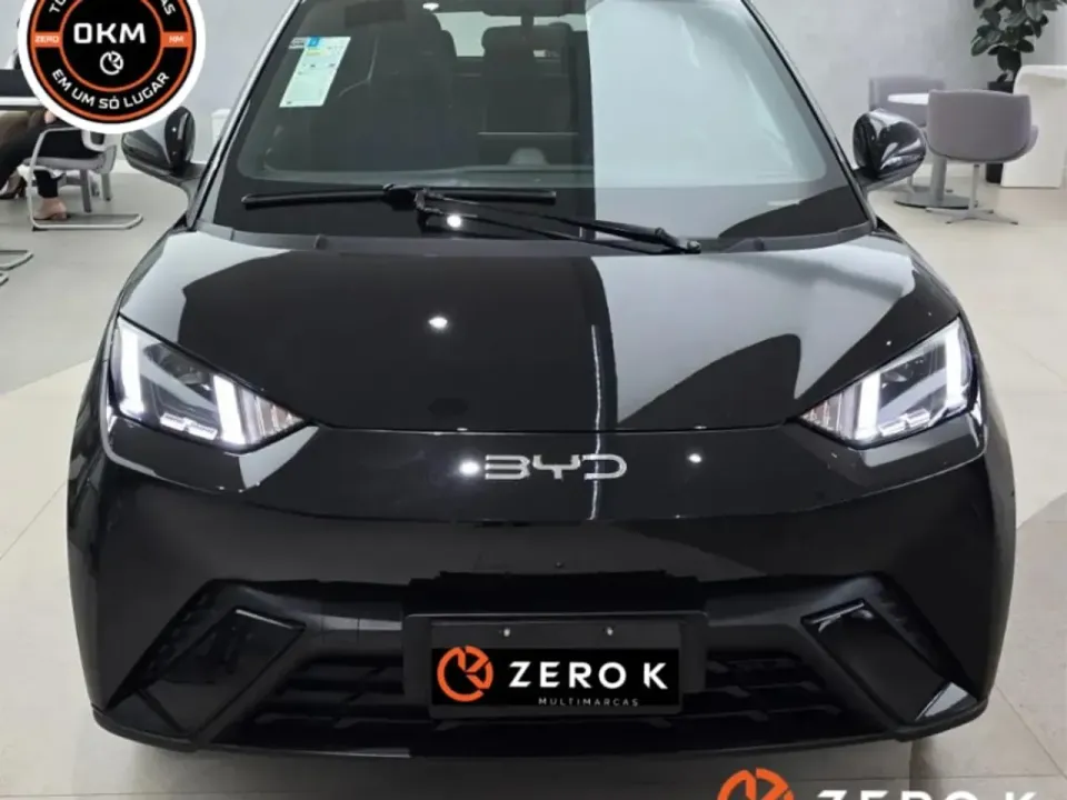 Foto de um byd dolphin mini
