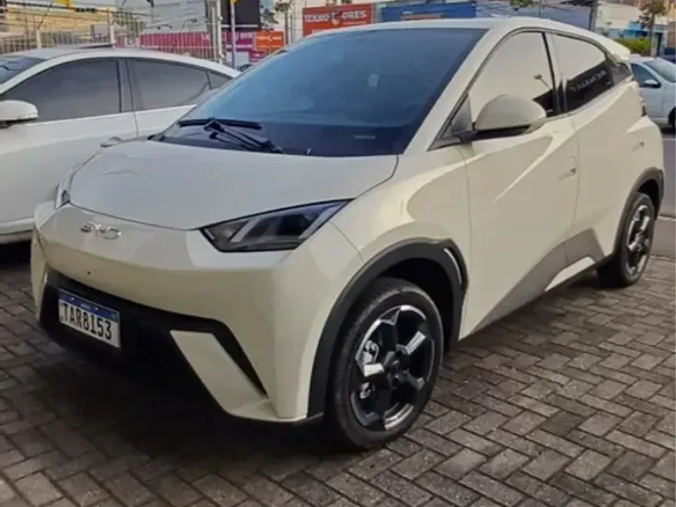 Foto de um byd dolphin mini