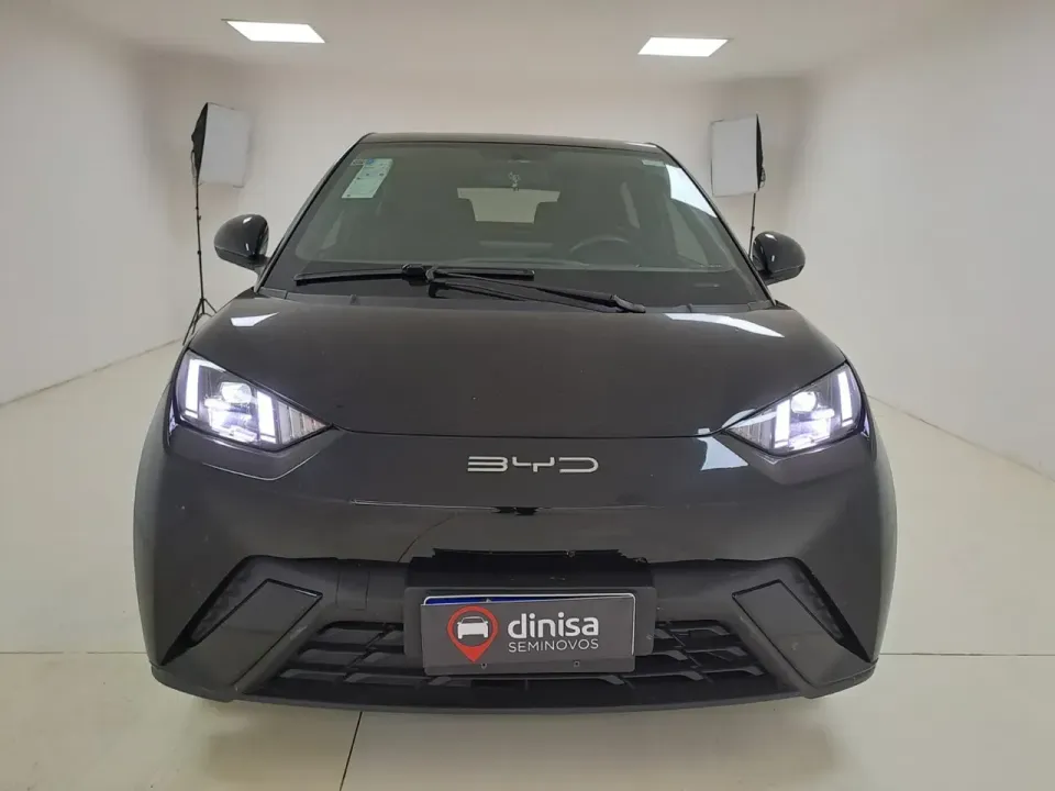 Foto de um byd dolphin mini