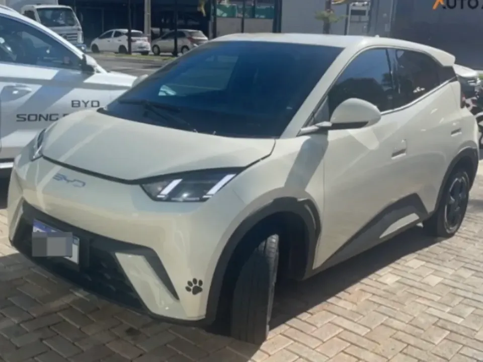 Foto de um byd dolphin mini