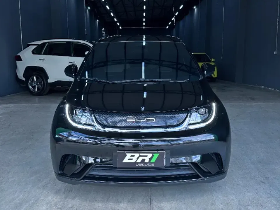 Foto de um byd dolphin