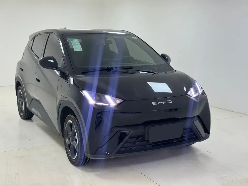 Foto de um byd dolphin mini