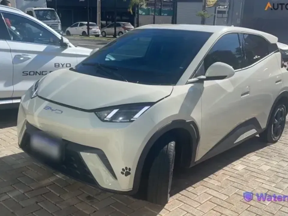 Foto de um byd dolphin mini