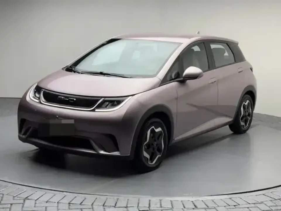 Foto de um byd dolphin plus