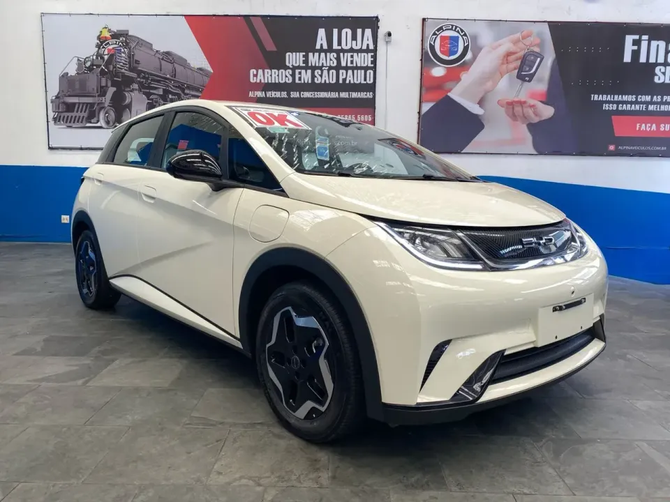 Foto de um byd dolphin