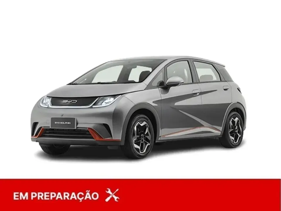 Foto de um byd dolphin