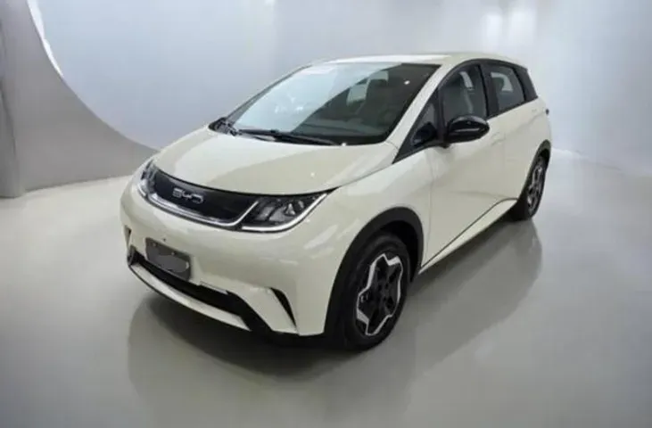 BYD Dolphin Plus