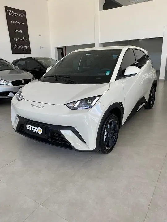 BYD Dolphin