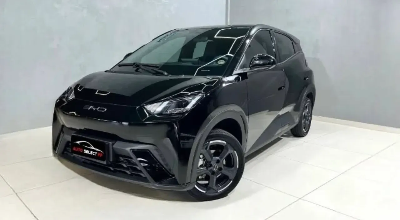 BYD Dolphin Mini