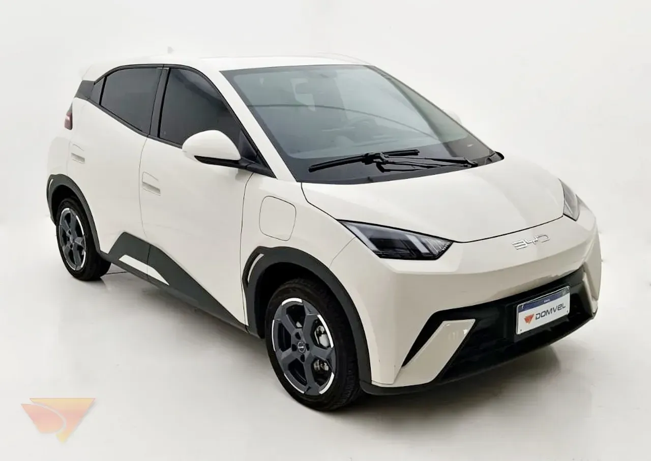 BYD Dolphin