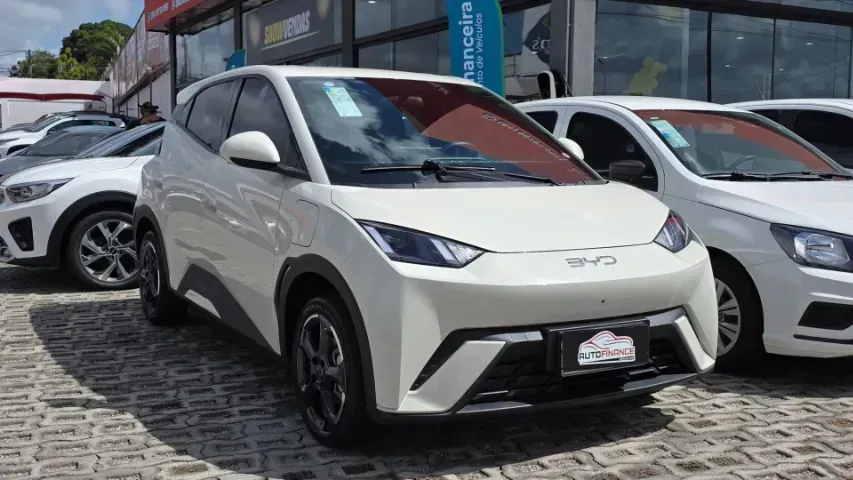 BYD Dolphin