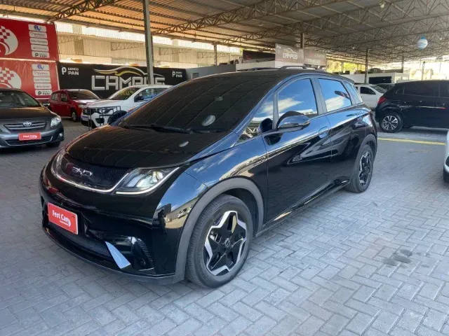 BYD Dolphin
