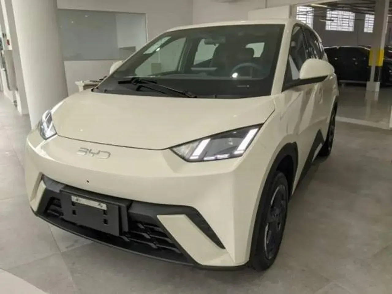 BYD Dolphin Mini