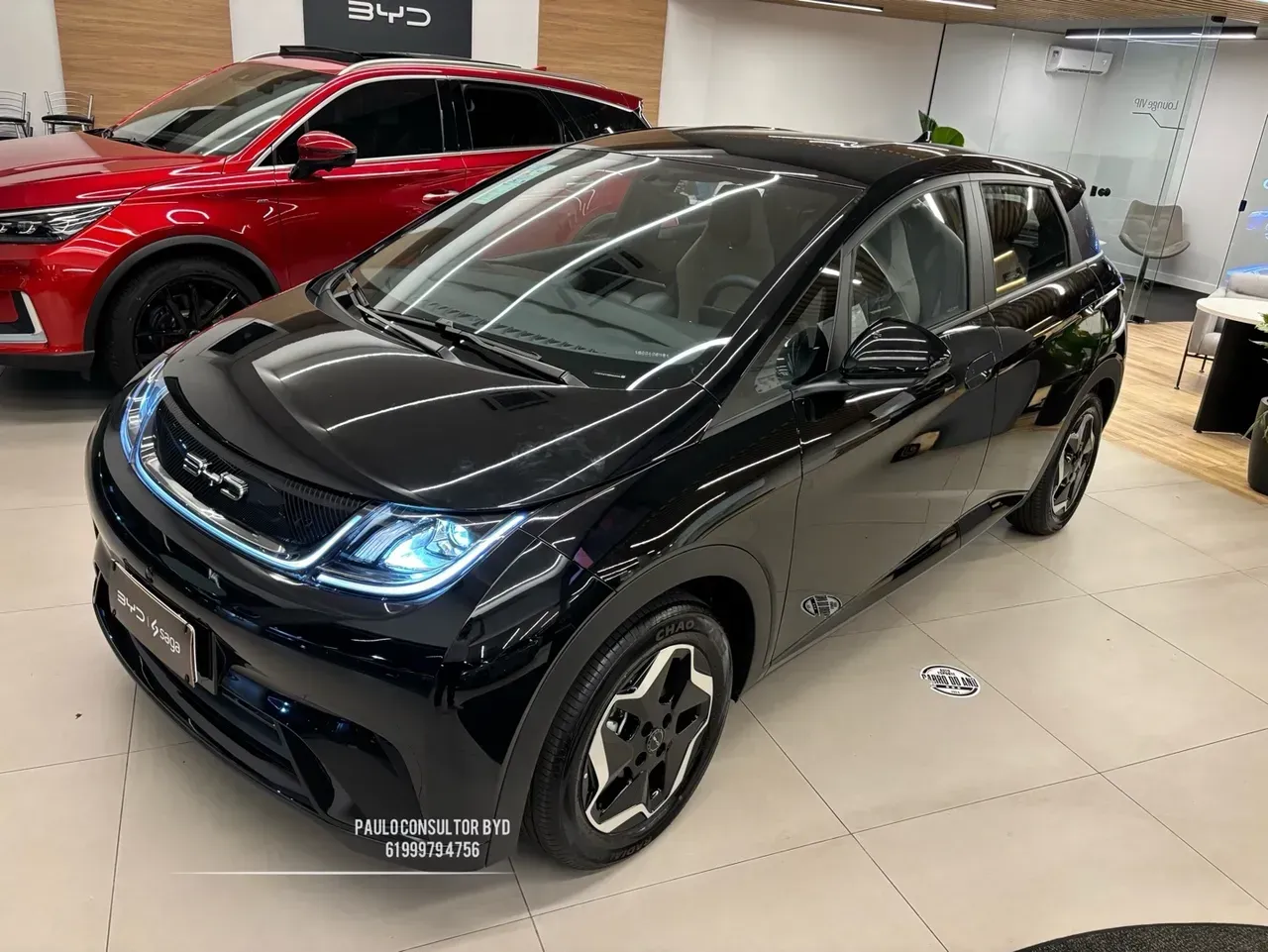 BYD Dolphin