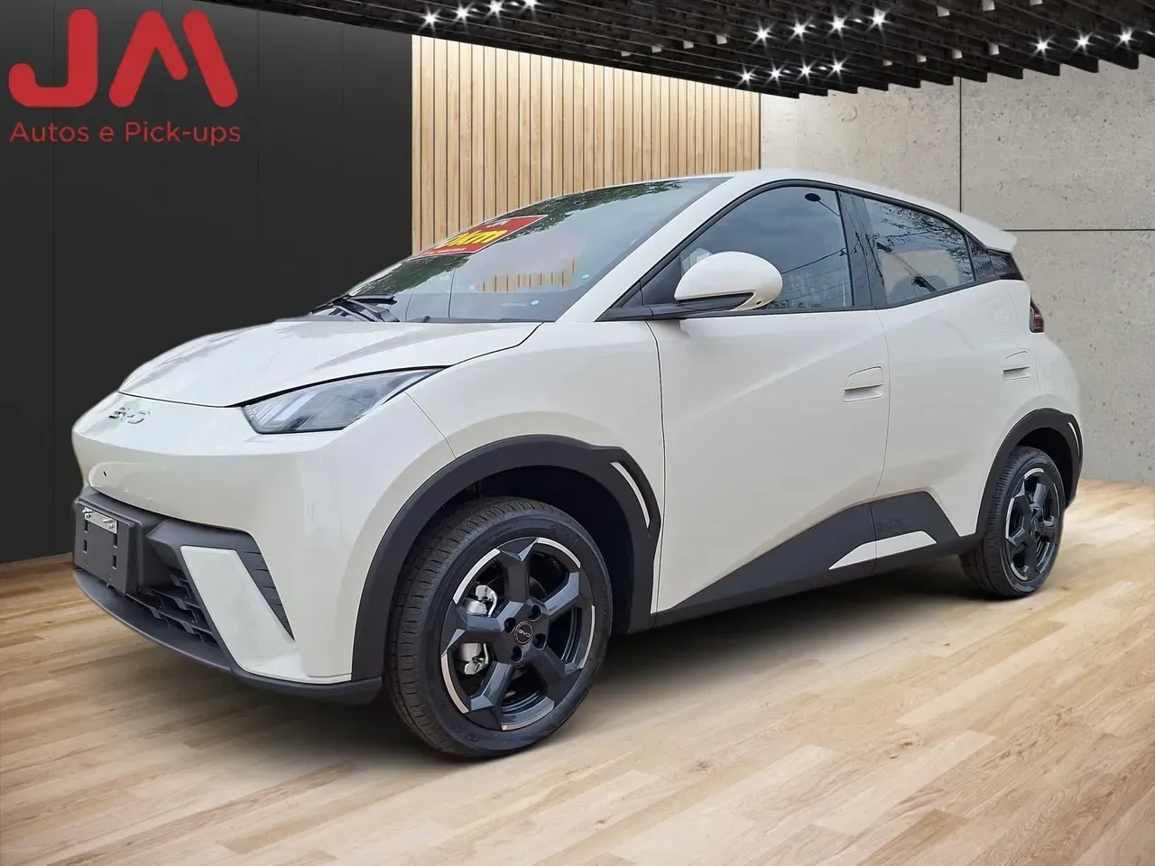 BYD Dolphin Mini