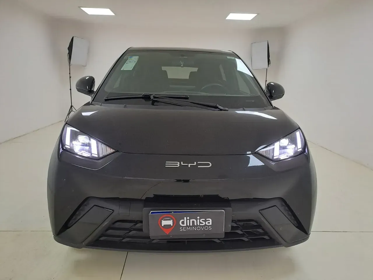 BYD Dolphin Mini