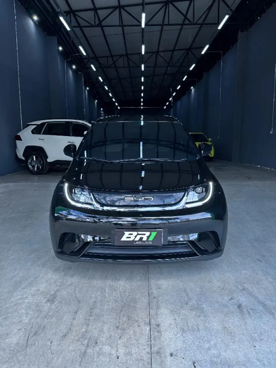 BYD Dolphin