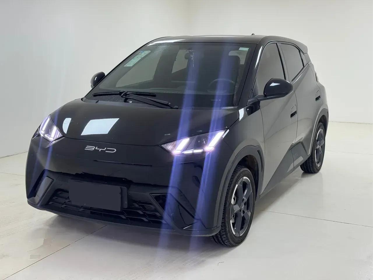 BYD Dolphin Mini