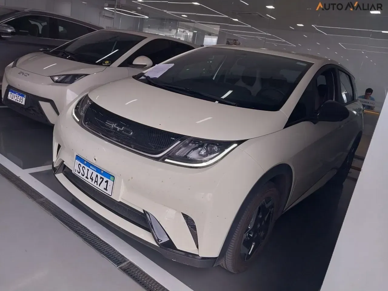 BYD Dolphin