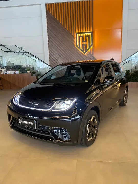 BYD Dolphin