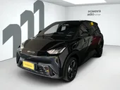 BYD Dolphin - Miniatura 1