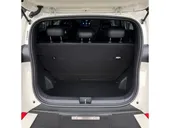 BYD Dolphin Mini - Miniatura 15