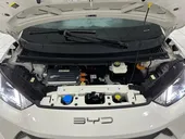 BYD Dolphin Mini - Miniatura 9