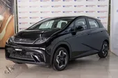 BYD Dolphin - Miniatura 2